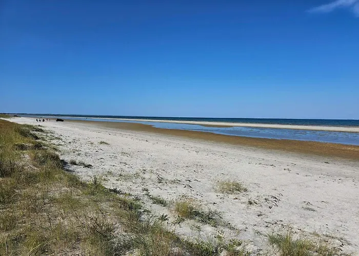 Nature Retreat In Albaek - By Traum 別荘